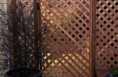 Albany Cottage | Cottage In Prime Location