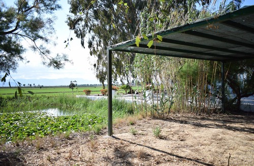 Amposta House | Cottage in the Delta del Ebro Natural Park, very close to the beach.