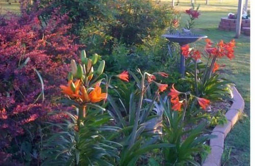 Edmond Cottage | Cottage is tucked away among trees and a small vineyard.