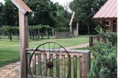 Edmond Cottage | Cottage is tucked away among trees and a small vineyard.