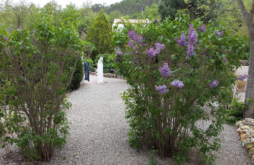 Le Thoronet Cottage | cottage jasmine 4088le thoronet