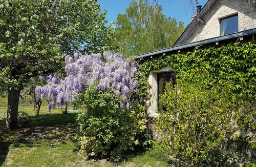 Les Rosiers-sur-Loire House | Cottage "Loire Lights"