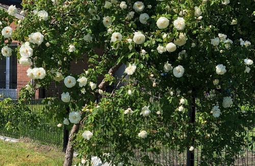 Saint-Amand-les-Eaux Cottage | Cottage L'echapée Belle