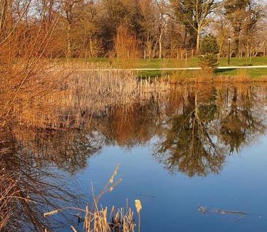 Menetou-Ratel House | Cottage La Grenouillère