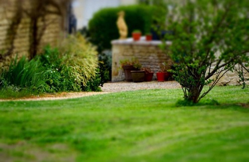 Saires House | Cottage La Petite Grange 2/4 people