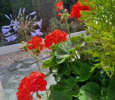 Le Home House | Cottage Le Home Plage 8pers