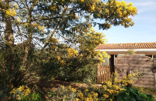 Sainte-Marie-de-Re Cottage | Cottage Les Roses de mer