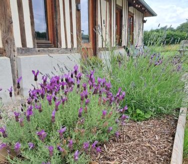 Pont-Audemer - Val de Risle House | Cottage normand, gîte à la campagne, au calme