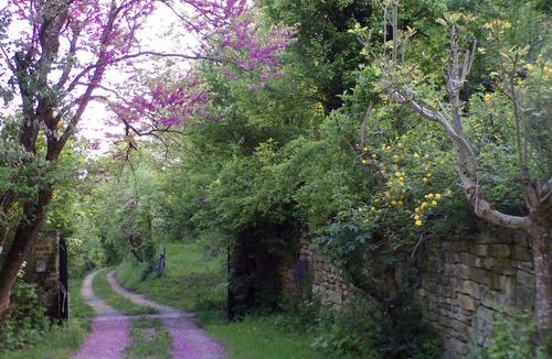 Marvejols House | COTTAGE OF LIRIO DU GEVAUDAN FULL HEART OF LOZERE IDEAL FOR 10/12 ADULTS