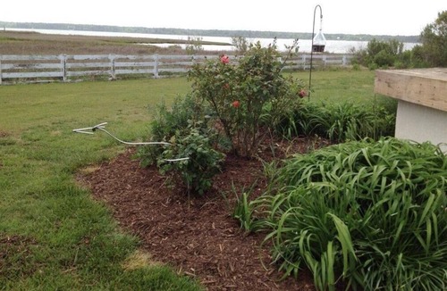 Gloucester Point Cottage | Cottage on a Private Island in the York River