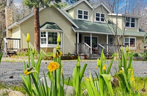 Jacksonville Cottage | Cottage on River's Edge