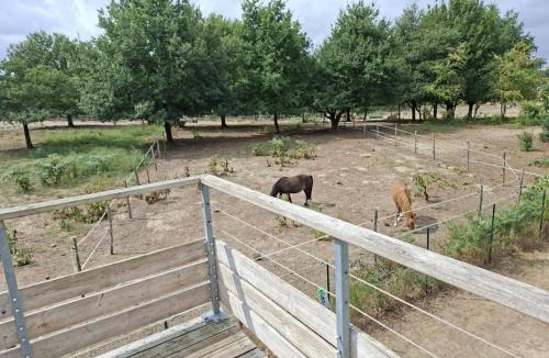 Chaveignes Apartment | Cottage Rembrandt