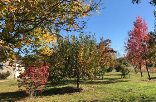 Champigny-sur-Veude Villa | COTTAGE SAINTE GENEVIEVE