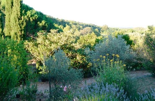 Camelas Cottage | Cottage surrounded by nature between sea and mountains
