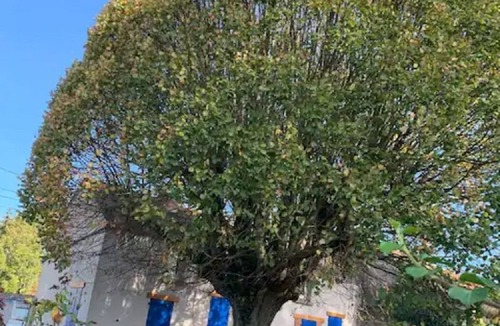 Mer House | Cottage "The blue house"