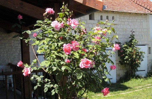 Assay House | Cottage touraine between Chinon and richelieu fully air-conditioned