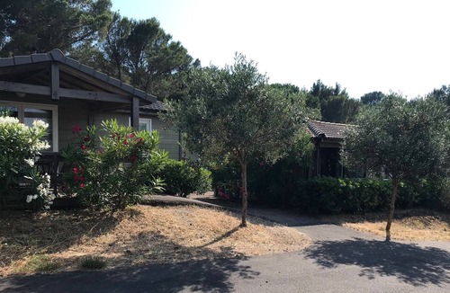 Agde Cottage | Cottage under the pines