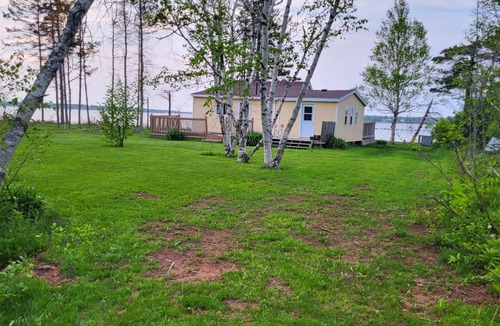 Tyne Valley Cabin | Cottage with Water view