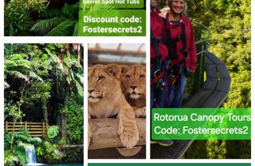 Rotorua House | Cottage135-Rotorua