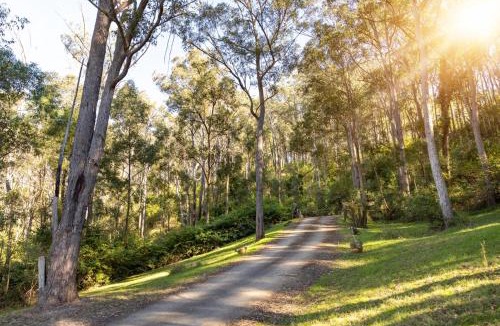 Mount View Resort | Cottages On Mount View