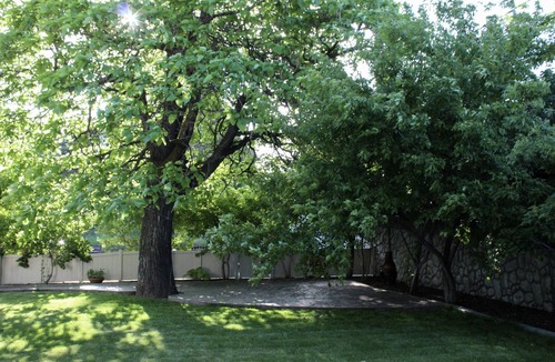 Cottonwood Heights House | Cottonwood Canyonons Cottage