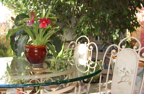 Le Coudray Bed & Breakfast | Couette Et Cafe Crème