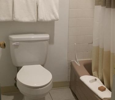 Pullman Hotel | Cougar Land Motel