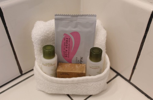 Pullman Hotel | Cougar Land Motel