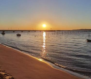 Biganos Apartment | Couleur Cabanes Classé 3 étoiles