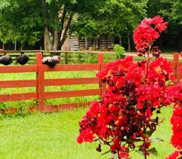 Washington Bed & Breakfast | Coulter Farmstead