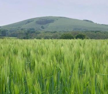 Hurstpierpoint House | Country Apartment