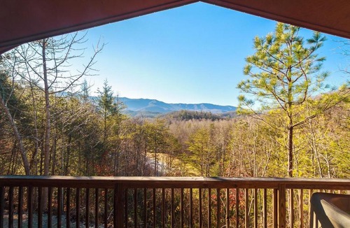Cosby House | Country Bear Hideaway
