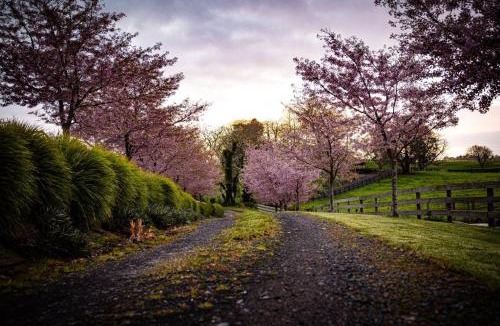 Wharepapa South Apartment | Country Charm with Mountain views