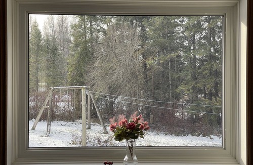 Grey Highlands House | Country Comfort with 8 Acre Private Garden