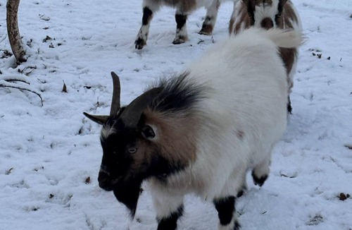 Cerans-Foulletourte Cottage | Country cottage
