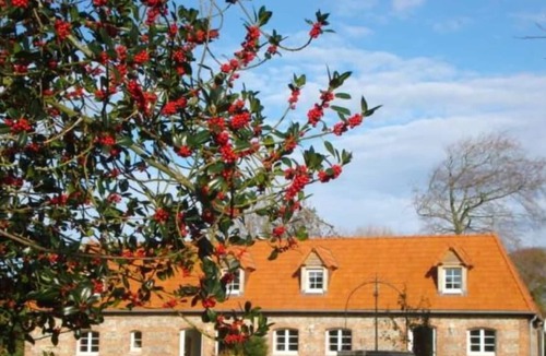 Quiberville Cottage | Country Cottage / Gite - Quiberville