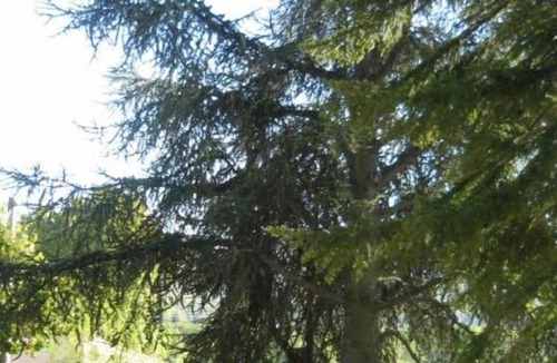 Dieulefit House | Country Cottage /Gite - Dieulefit