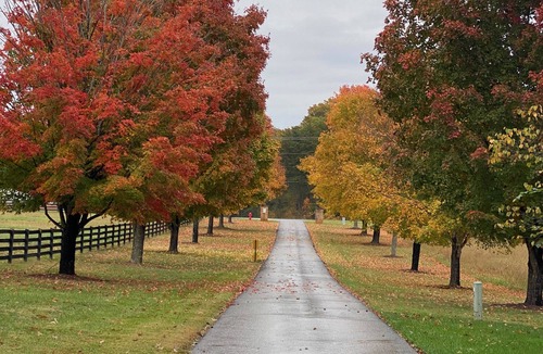 Rustburg House | Country Cottage
