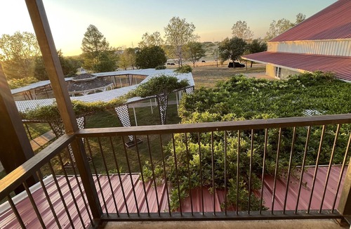 Denton Apartment | Country, Cows & Fishing Lake Studio- 2nd floor
