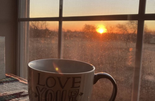 McLennan County Cabin | Country Escape - Live to be Wild