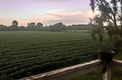 Holland House | Country Fields - Relaxing, Country Modern Home