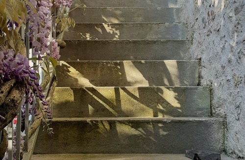 Champagne-Saint-Hilaire Apartment | Country studio