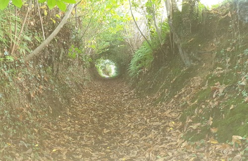 Mezieres-sur-Couesnon Hotel | Country room