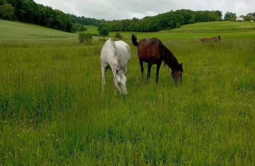 Saint-Martial-Viveyrol House | Country gite shared with owner