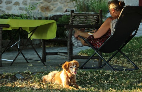 Alzon Other | Country holiday home - ALZON
