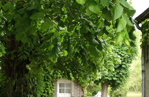 Blere Cottage | country holiday home