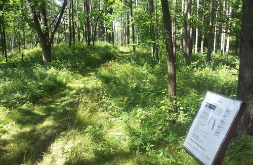 Pardeeville House | Country home with flowing river