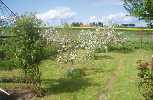 Nykobing Mors House | Country house