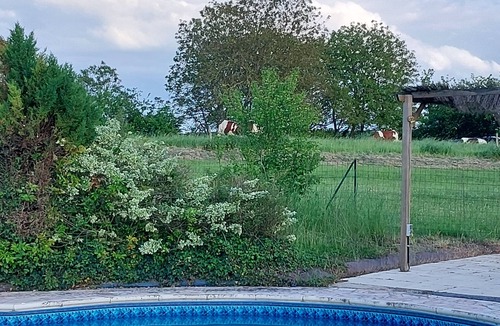 Boce House | COUNTRY HOUSE