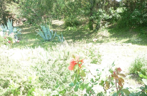 Reynes House | COUNTRY HOUSE NEAR CERET - PYRENEES ORIENTALES